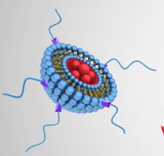 新冠疫苗輔料為什么被廣泛應(yīng)用于新冠疫苗研制作業(yè)中