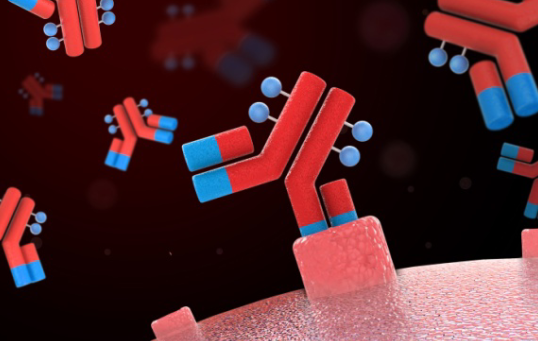 小分子聚乙二醇對(duì)蛋白藥物進(jìn)行修飾的類型