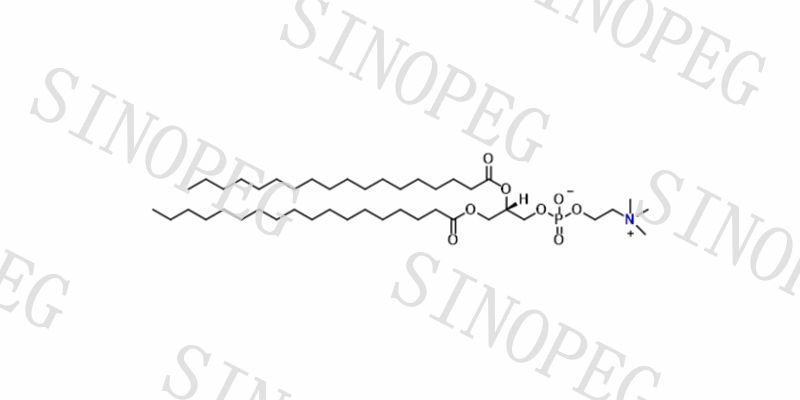 mPEG-DMG_DMG-PEG2000_賽諾邦格丨新冠疫苗輔料產(chǎn)品供應(yīng)！