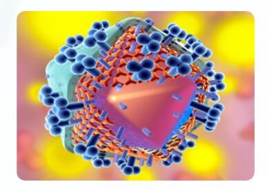 新冠疫苗輔料的選擇應遵循哪些原則