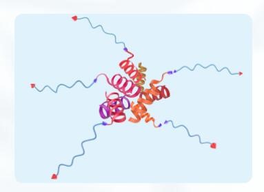 聚乙二醇衍生物的經典用途主要包括哪些