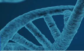 聚乙二醇衍生物為什么被廣泛應用于制藥工業(yè)中