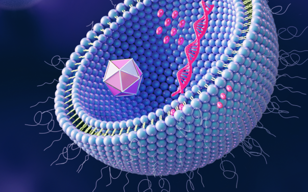 PEG化磷脂材料為什么受追捧