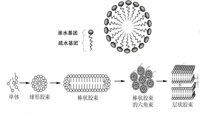 聚合物膠束技術及國產輔料供應