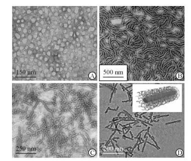 聚合物膠束技術及國產輔料供應