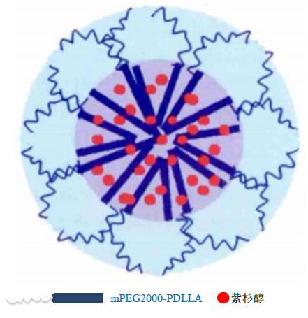 聚合物膠束技術及國產輔料供應