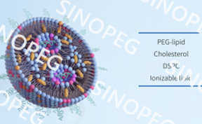 賽諾邦格丨膽固醇（植物源）供應(yīng)