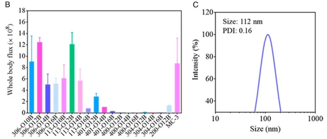 肺靶向和肝靶向LNPs的結(jié)構(gòu)差異，及其在mRNA遞送中的應(yīng)用