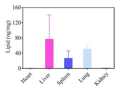 肺靶向和肝靶向LNPs的結(jié)構(gòu)差異，及其在mRNA遞送中的應(yīng)用