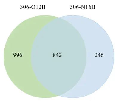 肺靶向和肝靶向LNPs的結(jié)構(gòu)差異，及其在mRNA遞送中的應(yīng)用
