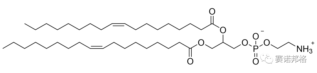 喜訊丨賽諾邦格自主知識產(chǎn)權LNP脂質(zhì)通過CDE備案