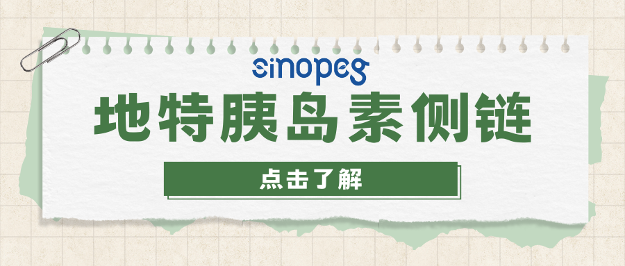 地特胰島素側(cè)鏈