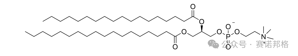 喜報(bào)！賽諾邦格DSPC順利完成FDA