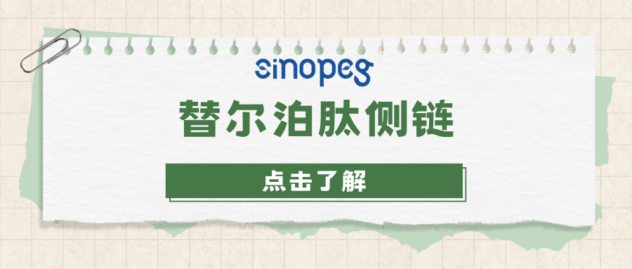 替爾泊肽側(cè)鏈 | CAS#: 1188328-37-1 | 賽諾邦格