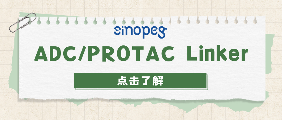 ADC/PROTAC Linker | N3-PEG24-NHS | CAS#: 2375600-46-5 | 賽諾邦格小分子PEG