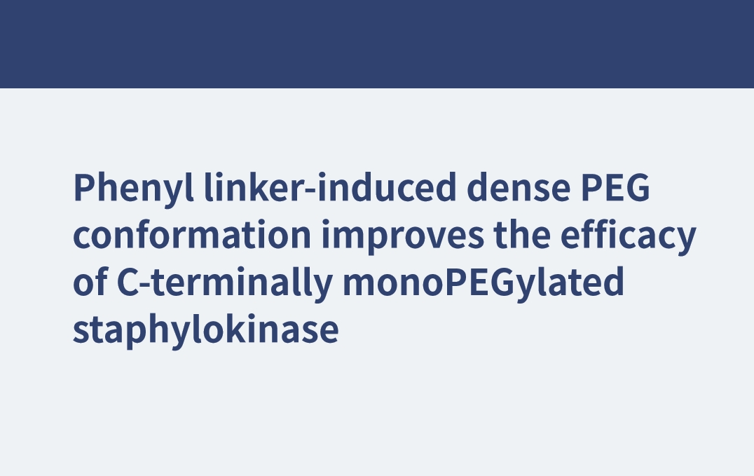 苯基連接體誘導(dǎo)的致密PEG構(gòu)象提高了c末端單聚乙二醇化葡萄激酶的效能