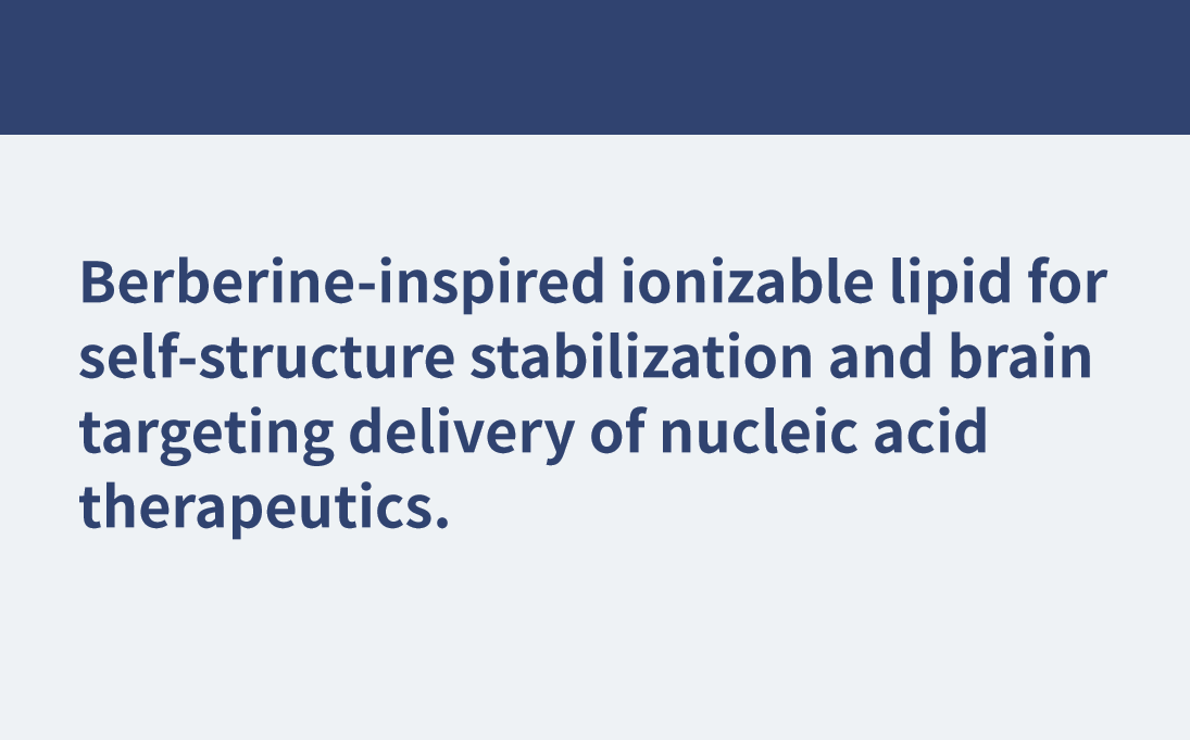 基于黃連素結(jié)構(gòu)的腦靶向突破：BE-ST納米平臺攻克血腦屏障難題