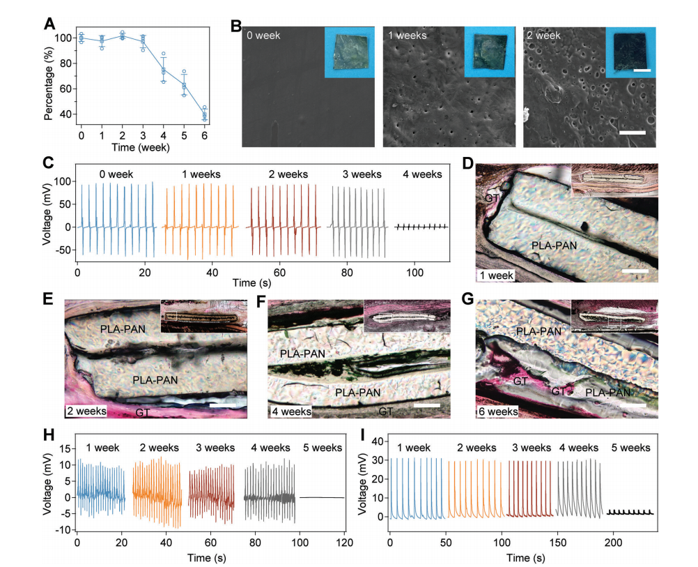 機(jī)械退火破解氨基酸晶體壓電難題！南京大學(xué)造出可生物降解的壓電力傳感器