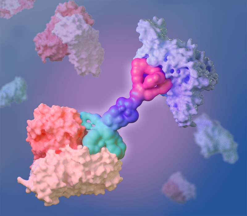 單分散聚乙二醇