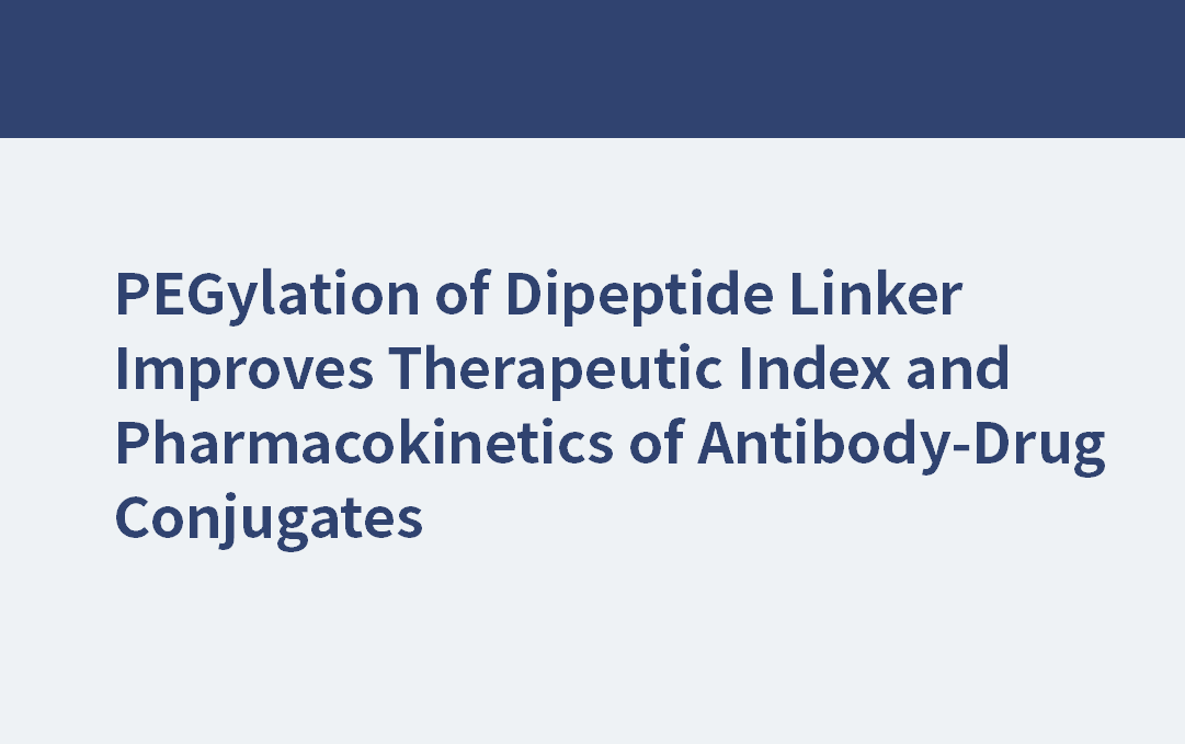 mPEG24 | 二肽連接物的聚乙二醇化改善了抗體-藥物偶聯(lián)物的治療指標和藥代動力學(xué)