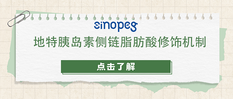 地特胰島素側鏈脂肪酸修飾機制