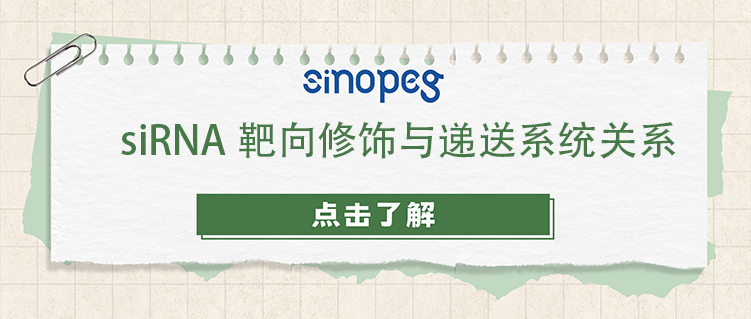 siRNA靶向修飾與遞送系統(tǒng)關(guān)系