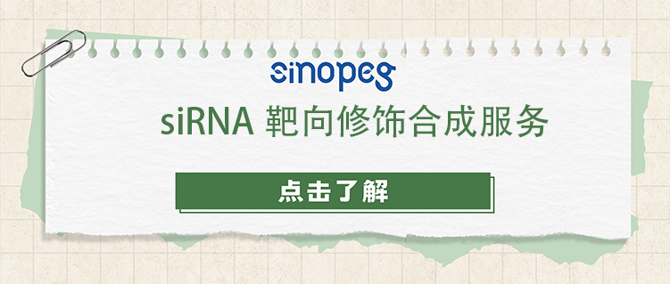 siRNA靶向修飾合成服務(wù)