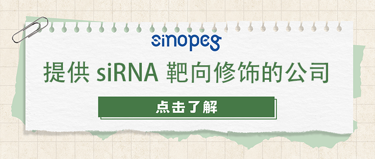 提供siRNA靶向修飾的公司
