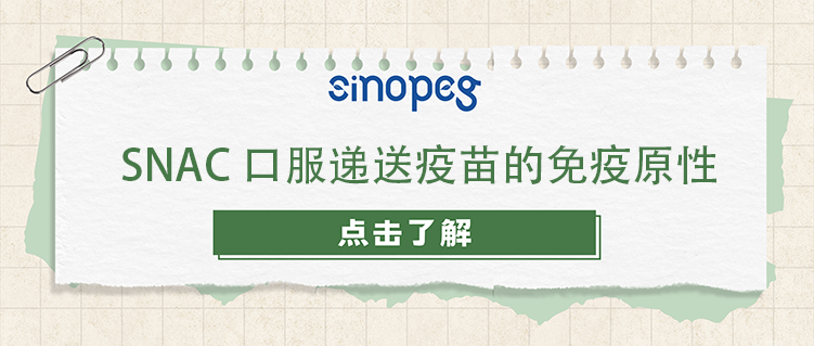 SNAC口服遞送疫苗的免疫原性